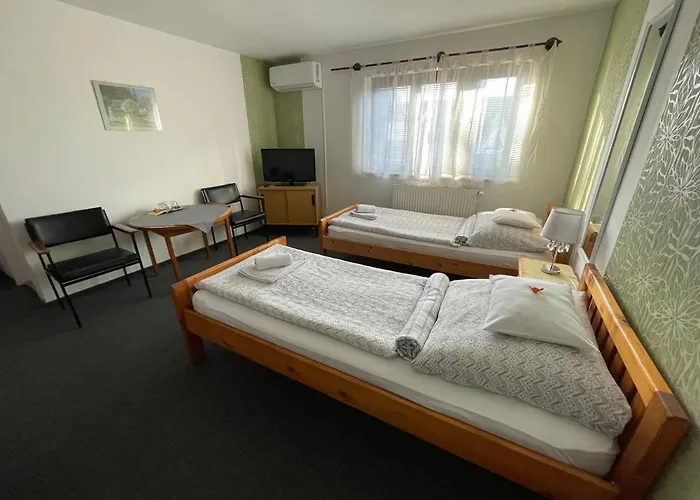 Pensjonat Mini Panzio 3*